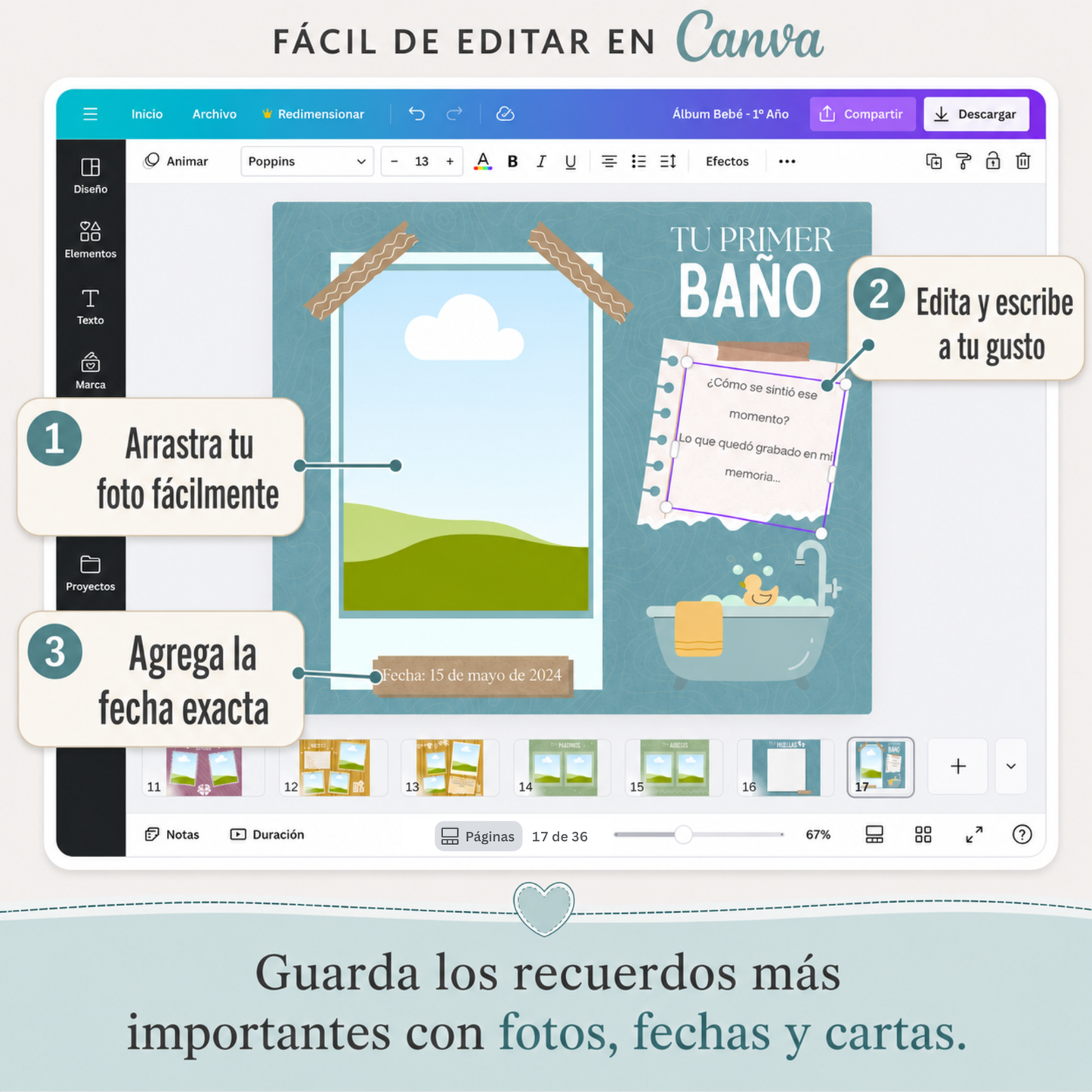 Su primer año – Edición Digital + Edición Imprimible